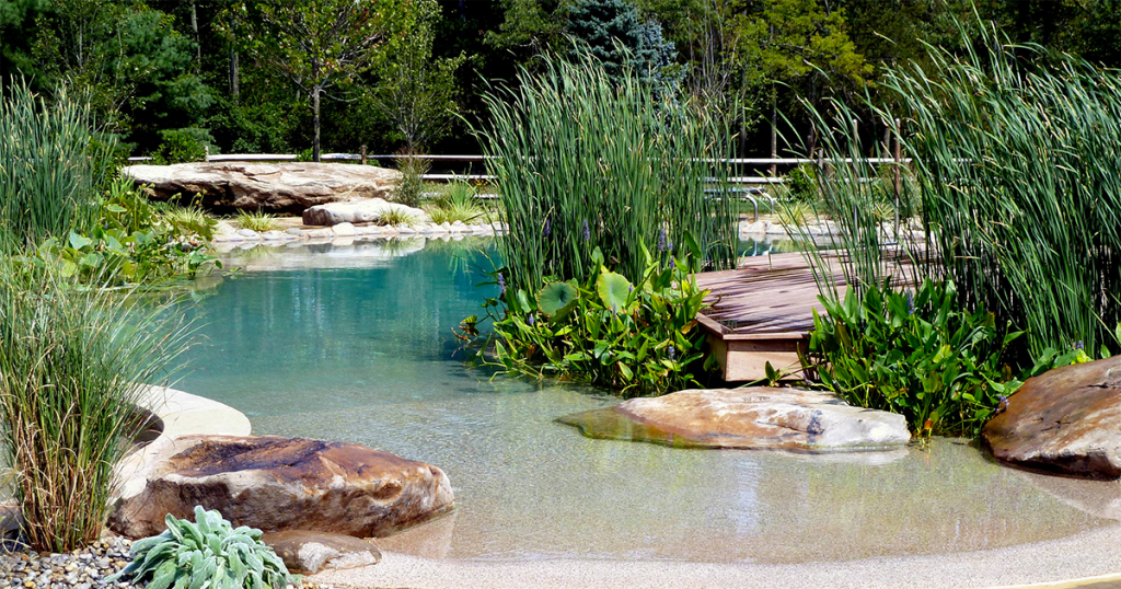 piscine naturelle.webp piscine naturelle.webp